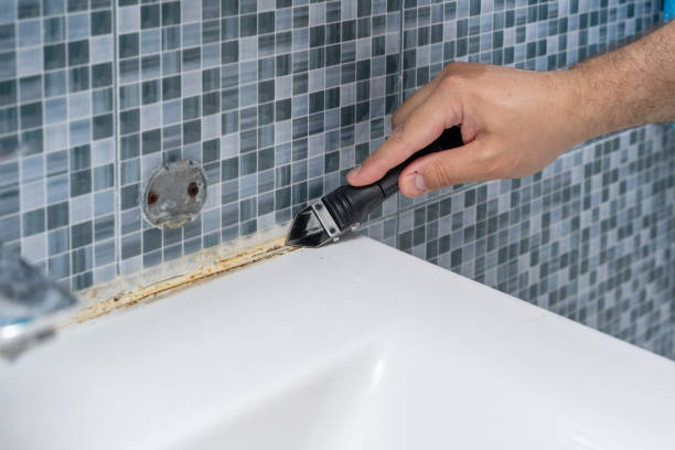 Best Mold Remediation for Schools in Midland, TX