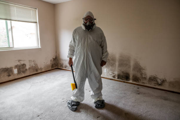 Best Emergency Mold Remediation in Midland, TX